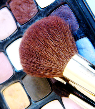 About Organic Makeup About Organic Makeup