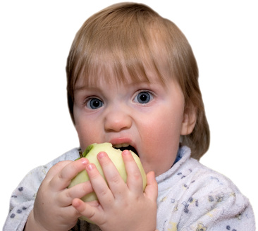 Baby Meal Ideas Ideas For 6 Month Old Baby Pictures. Baby Meal Ideas