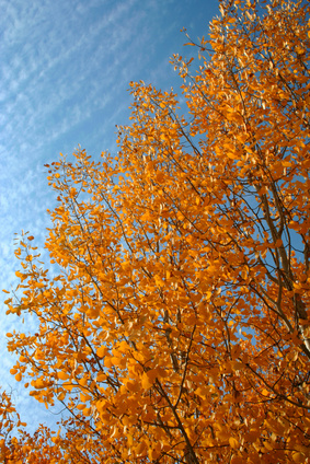 Craft Fairs In Texas This Weekend Craft Fairs In Texas This Weekend