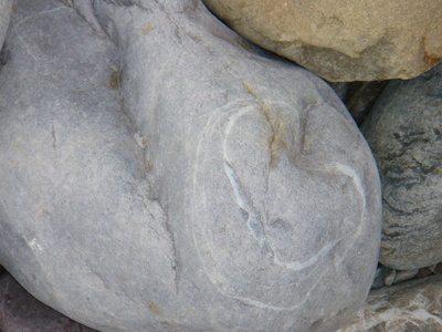 The American Heart Association's “Heart Disease and Stroke Statistics 2010 The American Heart Association's “Heart Disease and Stroke Statistics 2010