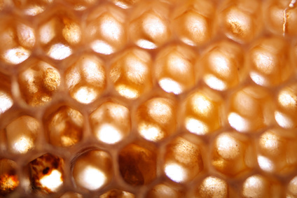 Benefits of Local Raw Honey