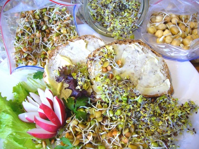 50 Percent Raw Food Diet | LIVESTRONG. 50 Percent Raw Food Diet | LIVESTRONG.