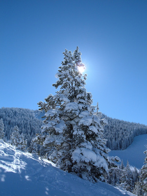 Map Of Colorado Ski Areas. Ski Resorts Around Denver,