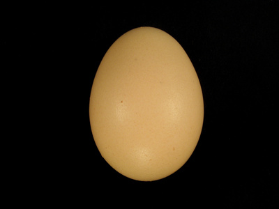 Chemically Damaged Hair Chemically Damaged Hair