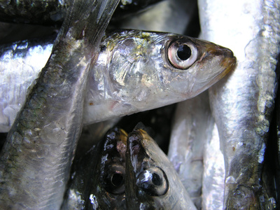 Good+cholesterol+foods