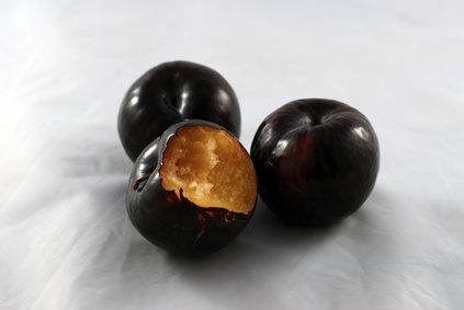 6 fat burning foods image 8