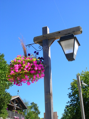 how do i hang planter mounts on a light pole ehow uk how do i hang planter mounts on a light pole ehow uk