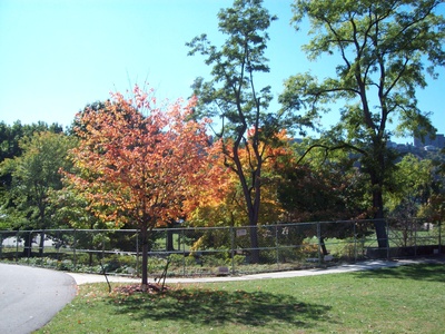 Mahoney State Park Lodge