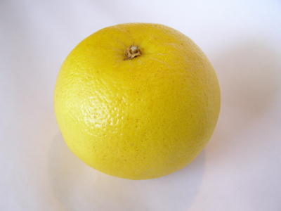 Mouthwash recipe gse recipe