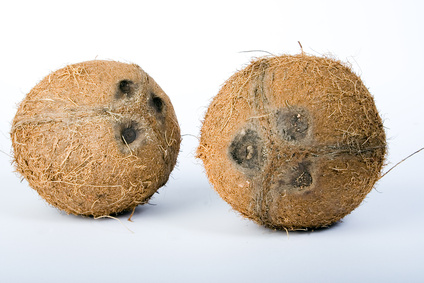 Coconut Oil As a Colon Cleanser