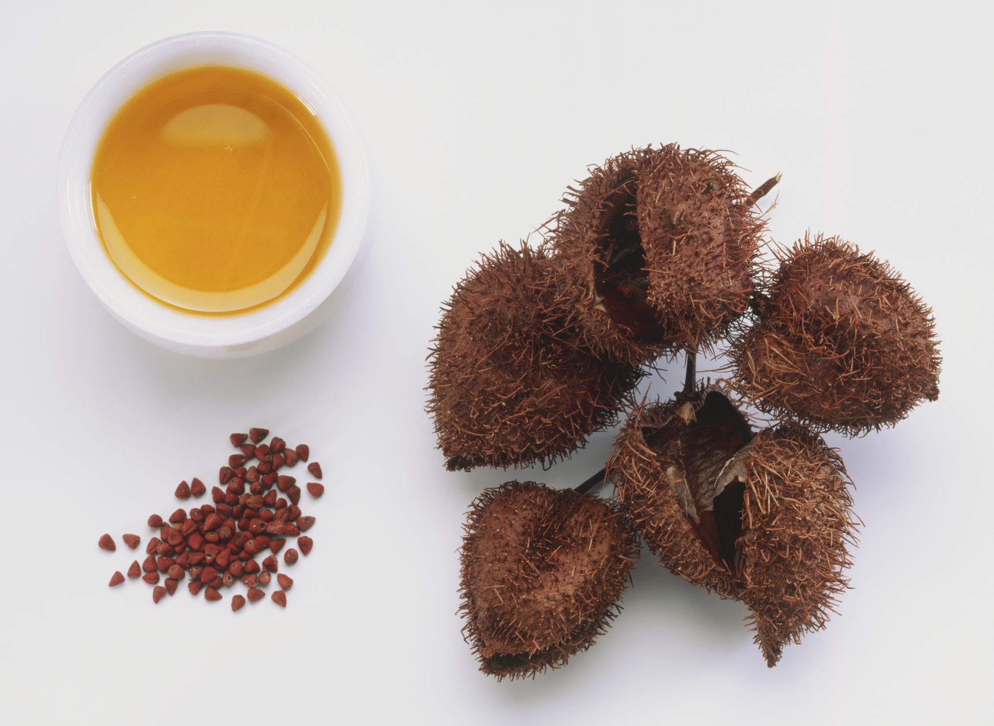 Health Benefits of Annatto Seeds and Leaves | Healthfully