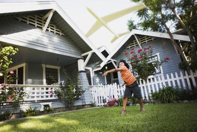 roundworm yard treatment