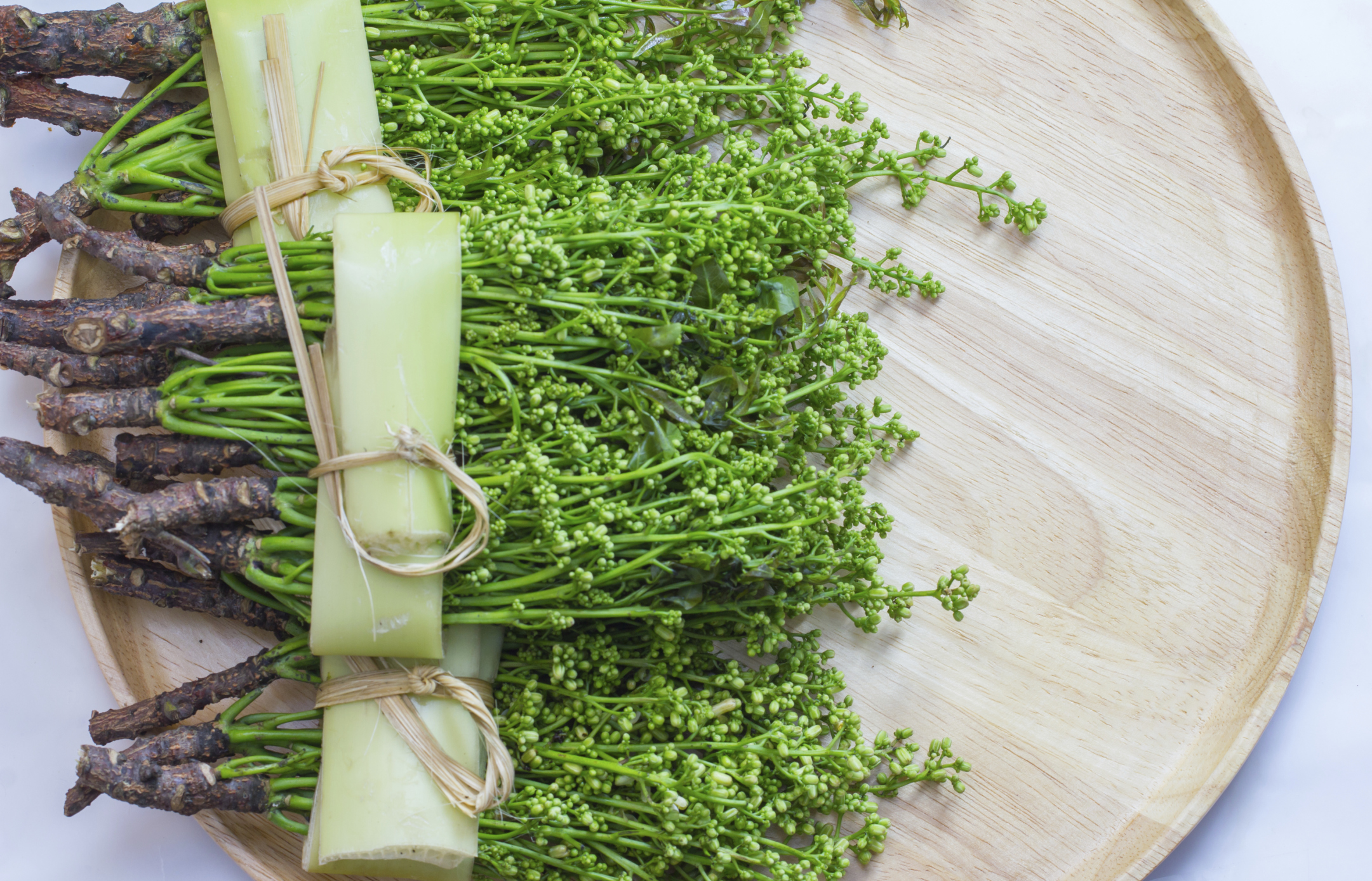 Why is Quinine Fluorescent? Sciencing