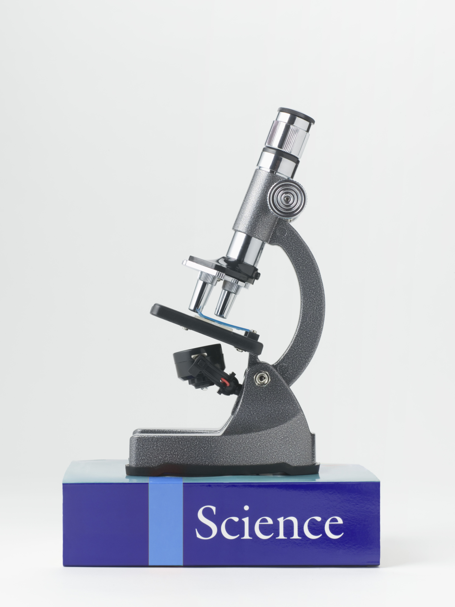 What Are the Different Types of Microscopy Used in a Microbiology