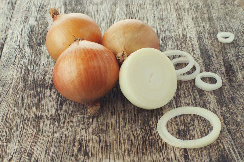 Can You Grow a Yellow Onion in Water From an Onion? | Home Guides | SF Gate