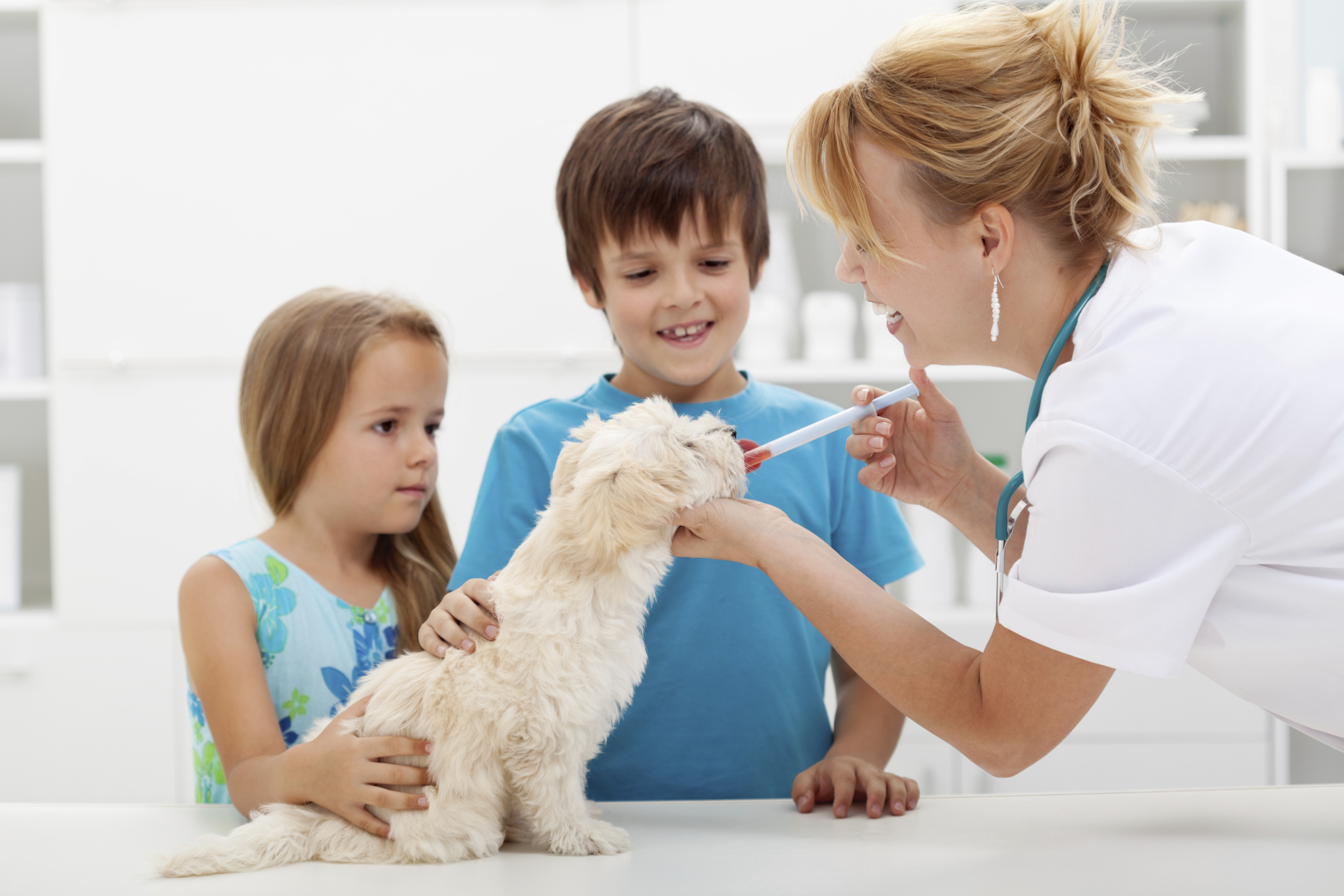 Can Bronchitis Be Passed From Human To Dog