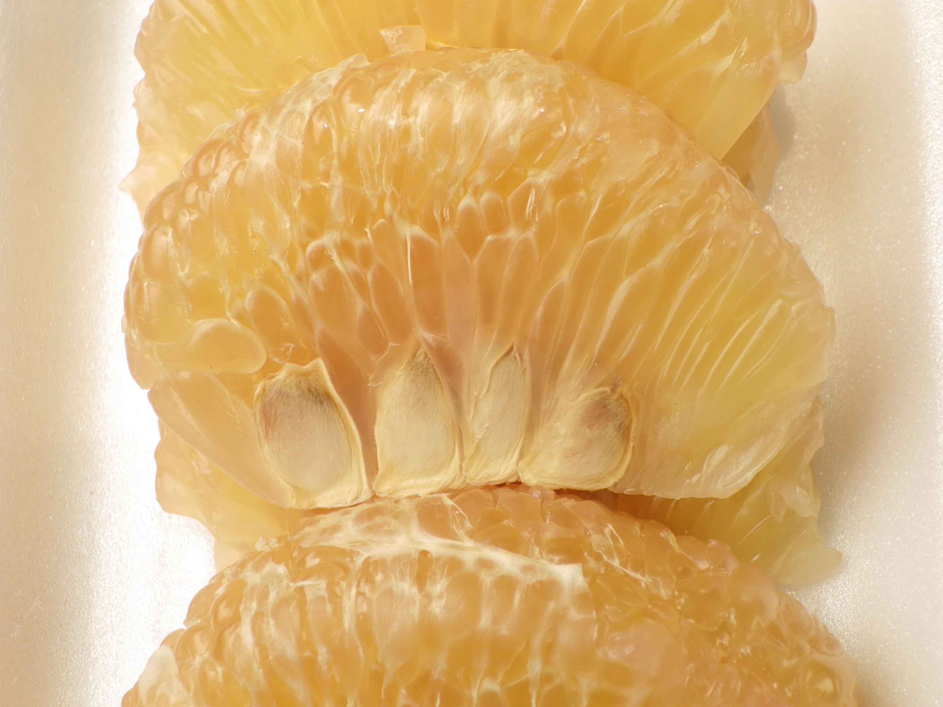 Grapefruit Seed Extract & Fungal Infections Healthfully