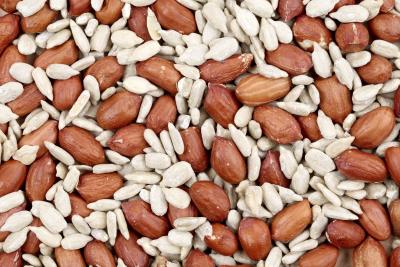 List of Foods That Contain Phenylalanine