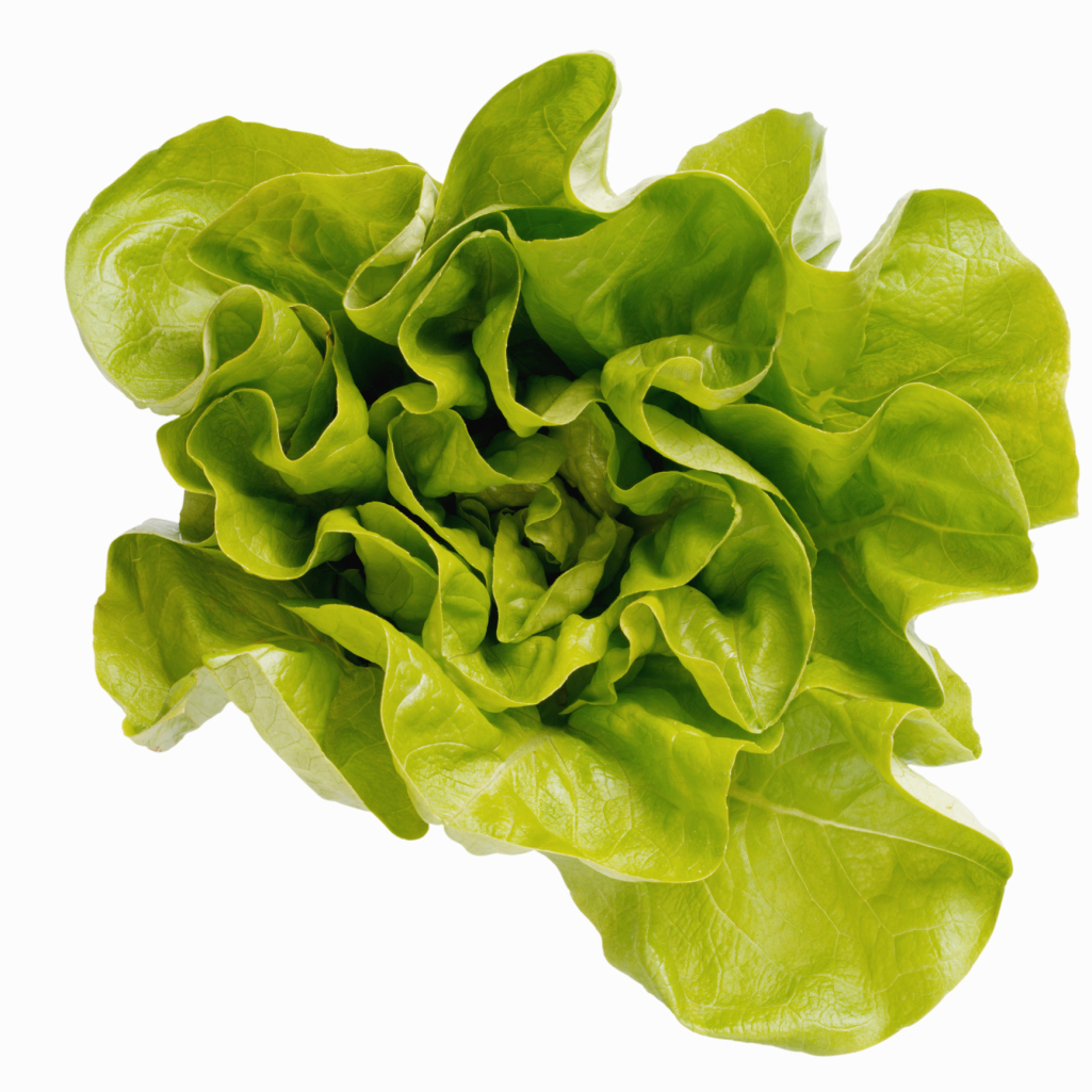 Types of High Soluble Fiber in Lettuce Healthfully