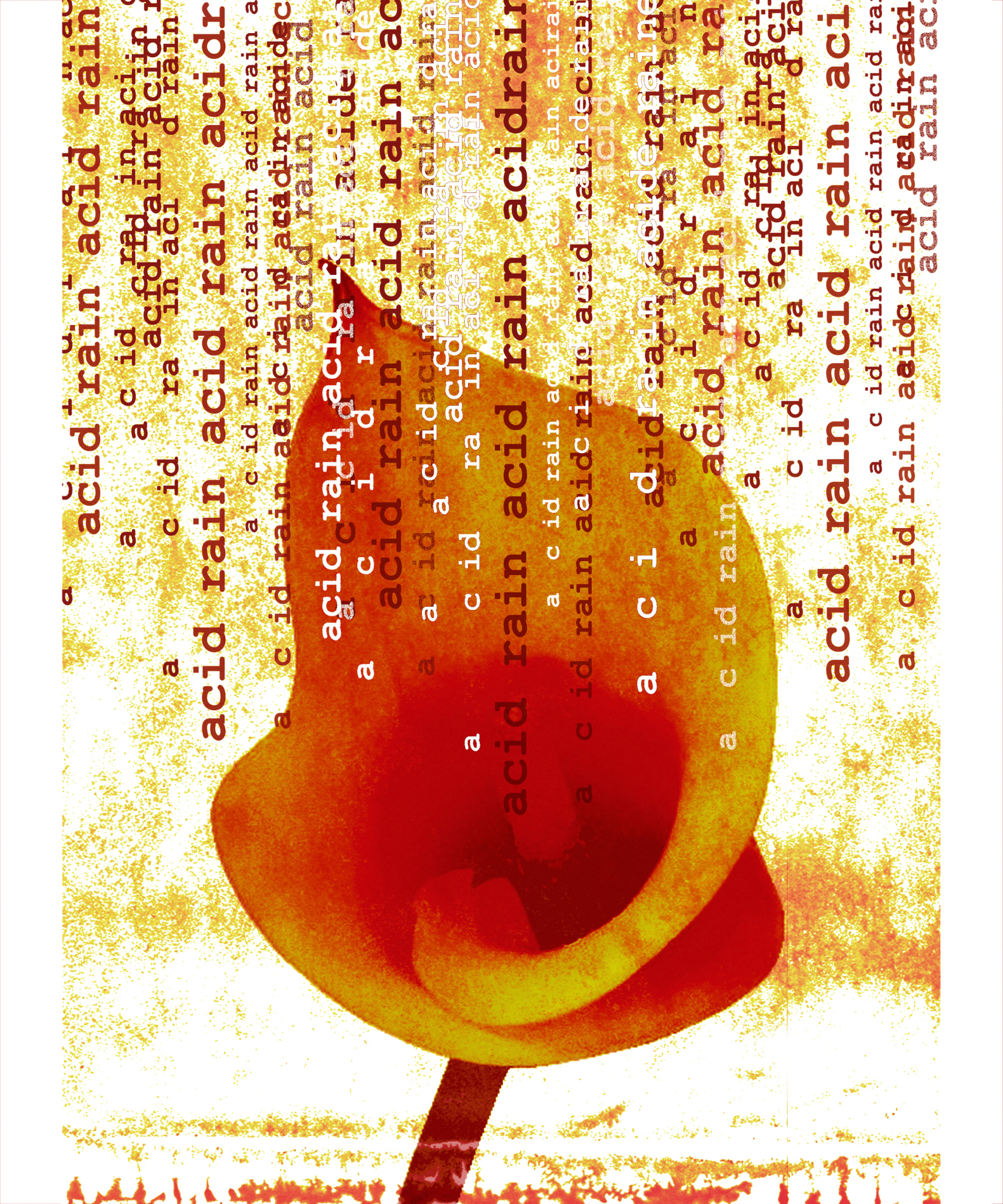 Where Does Acid Rain Occur? Sciencing