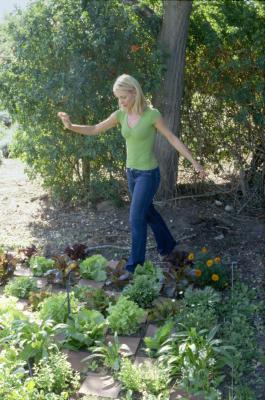 How to Use Dolomite Fertilizer Home Guides SF Gate How to Use Dolomite Fertilizer Home Guides SF Gate