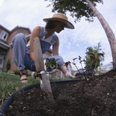 How to Preen Vegetable Garden Flowers for Weed Control | Home Guides