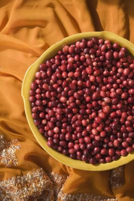 Cochrane review cranberry uti picture