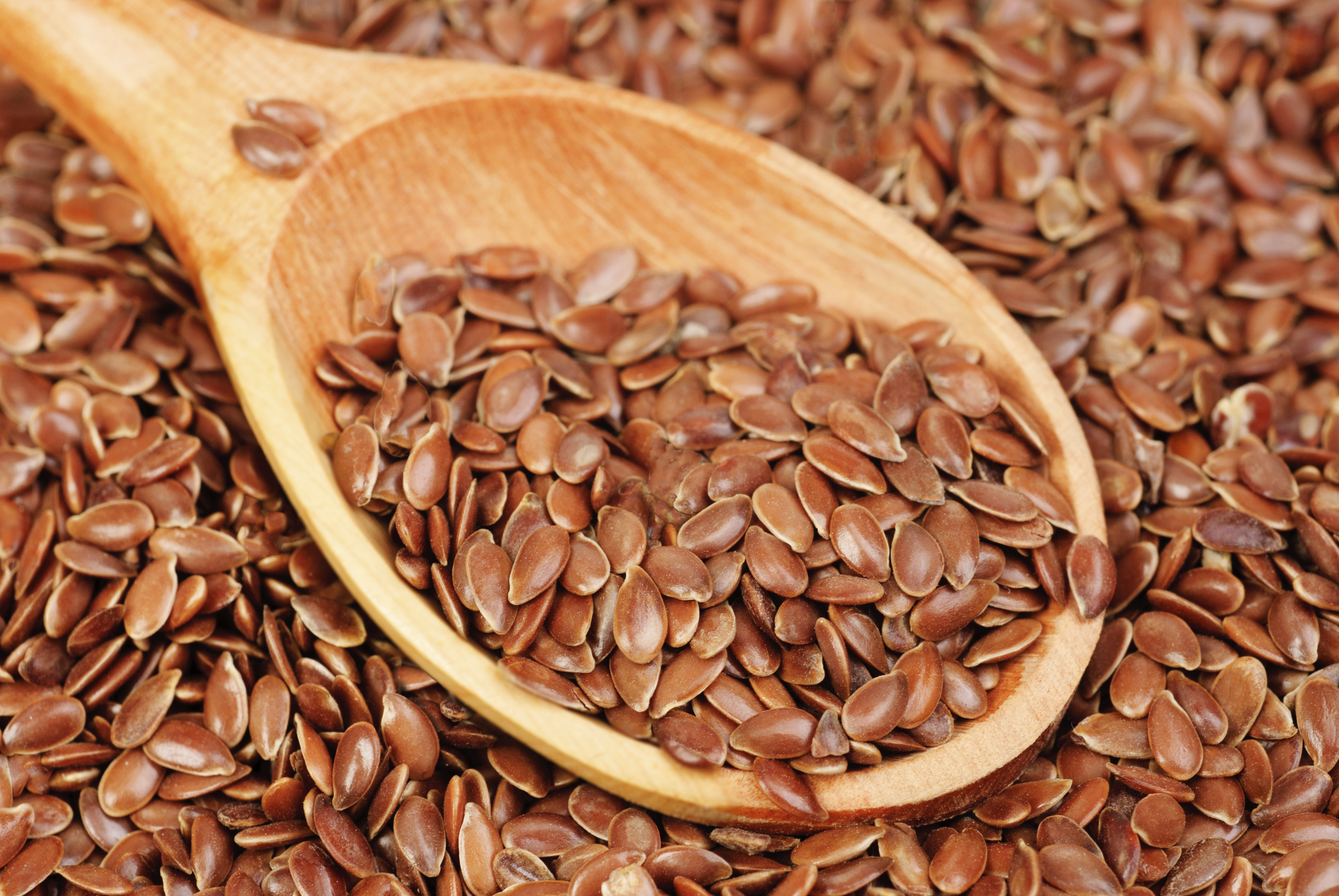 What is useful for flaxseed for women and how it is used in traditional medicine What is useful for flaxseed for women and how it is used in traditional medicine