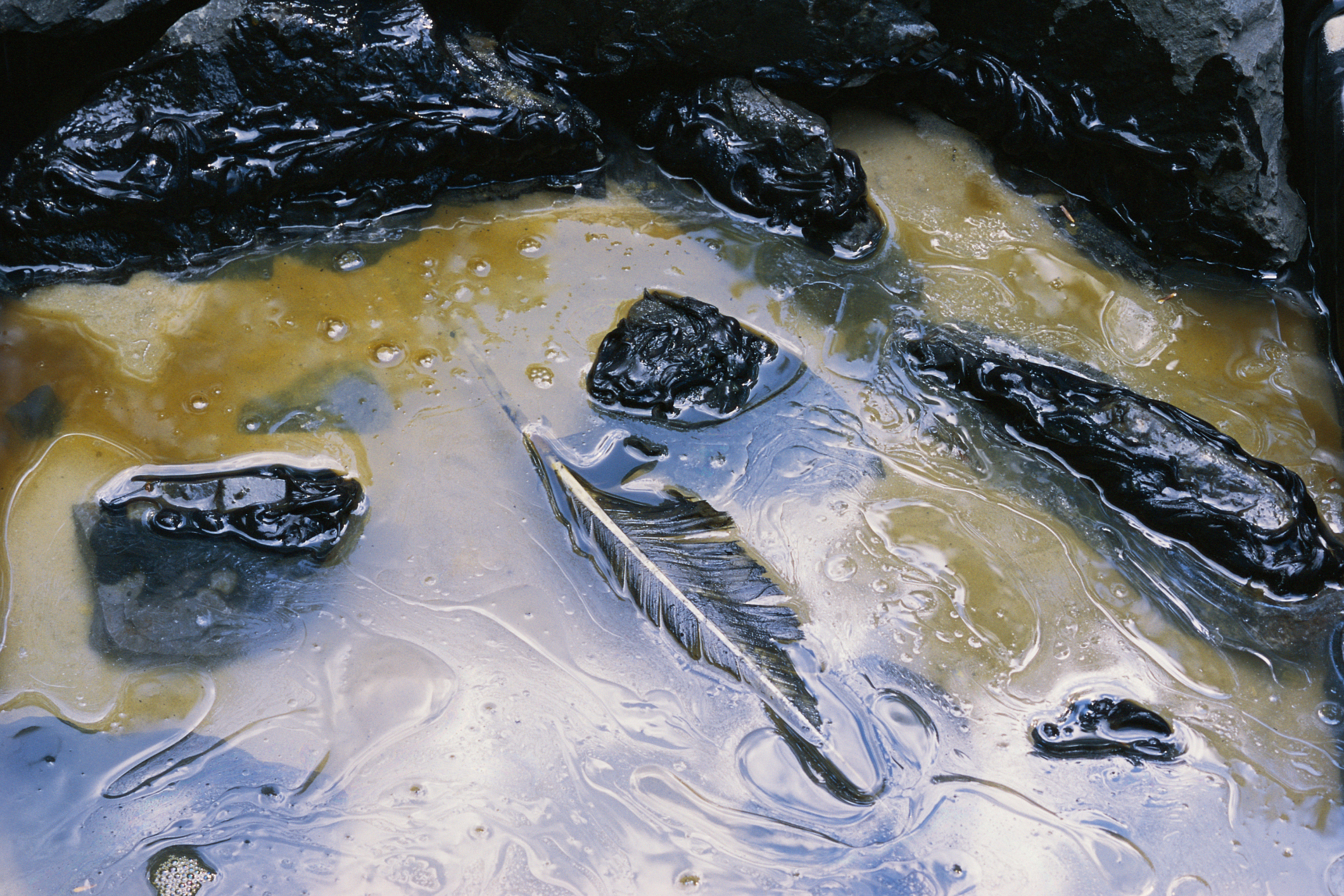 Science Fair Projects for 4th Graders on Oil Spills Synonym