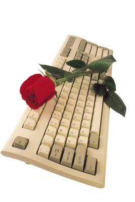 looking for The Japanese Wife Watch Online sarcastic, humorous. The