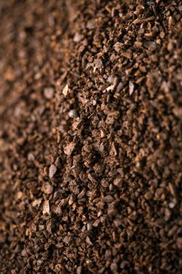 Image Result For Coffee Groundsas Fertilizer 87599714 XS Coffee Groundsas Fertilizer