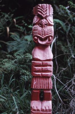 Acerca de la tribu maorí | eHow en Español