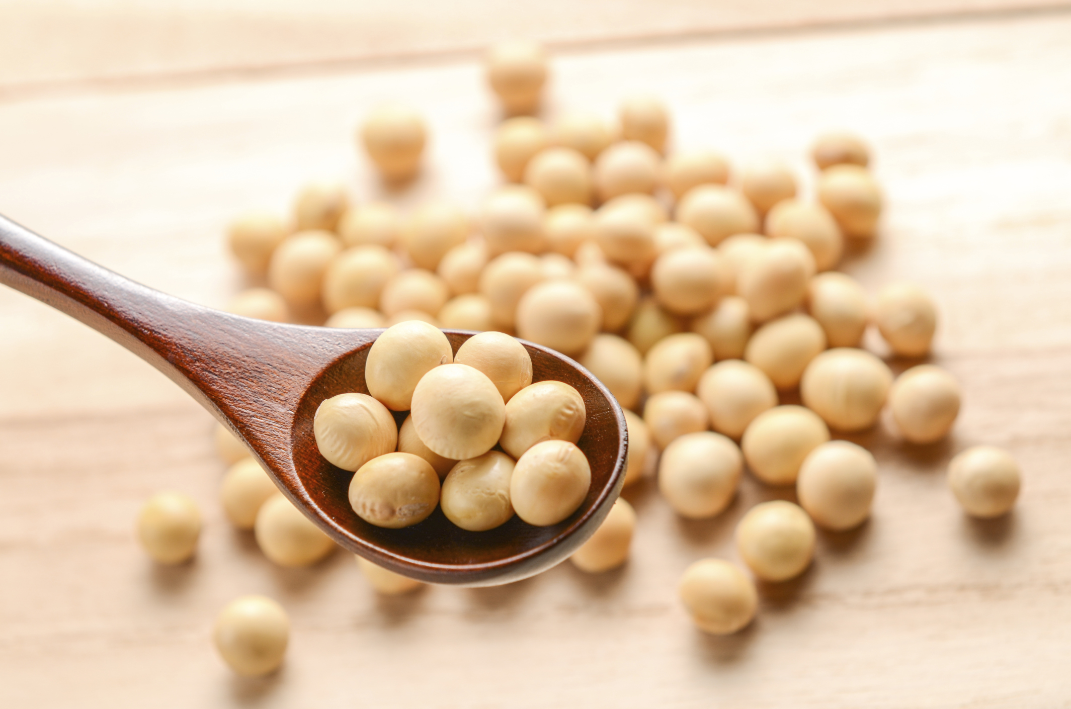 Soy Types, Benefits, And Nutrition