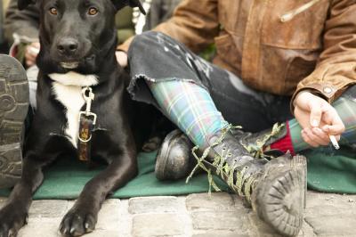 Do Fireworks Hurt A Dog S Ears