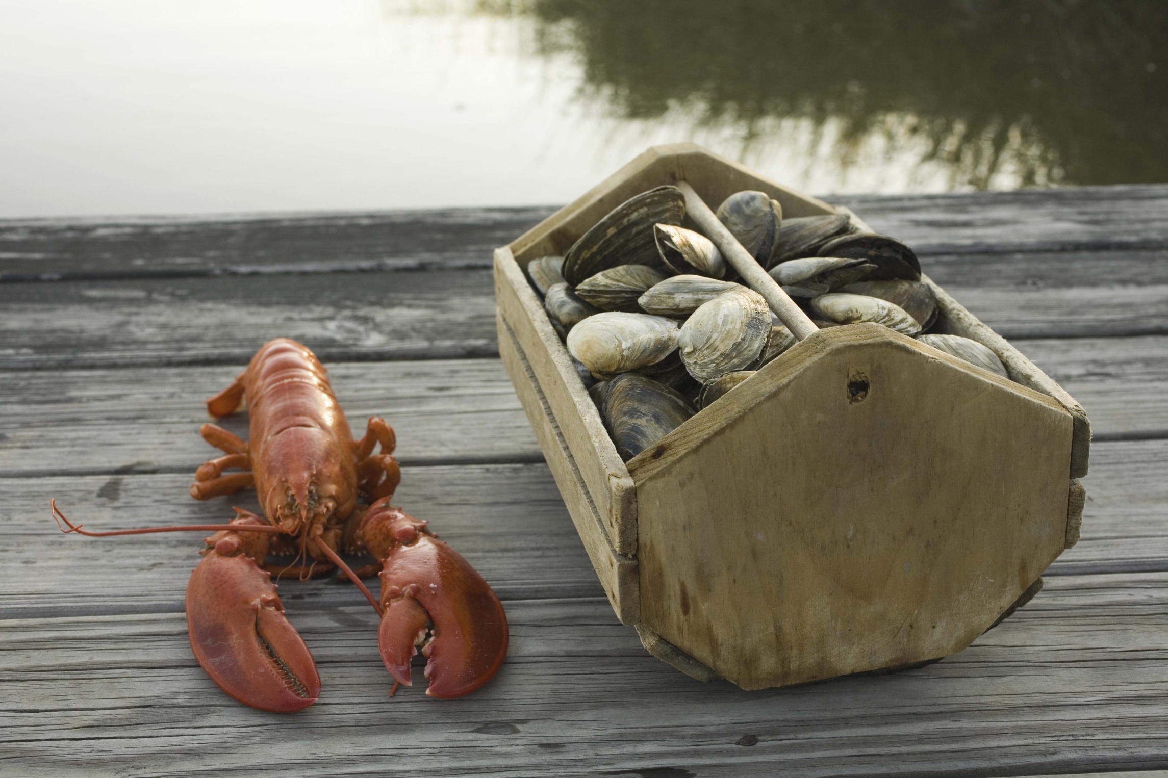 Restaurants That Serve All You Can Eat Crab Legs In Springfield Missouri