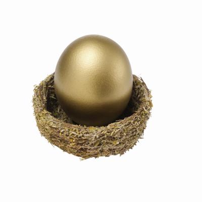 Can i put stock options in a roth ira