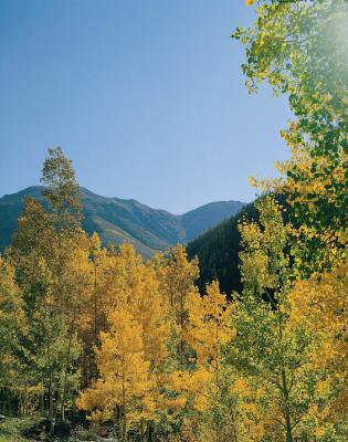 things heber arizona overgaard backpack colorado times