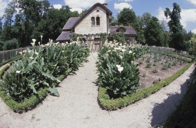 The Best Landscape Gravel for Yards | Home Guides | SF Gate