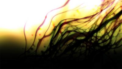 Nutrition Value Of Spirulina | LIVESTRONG. Nutrition Value Of Spirulina | LIVESTRONG.