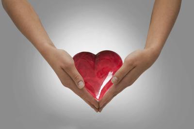 Hdl+cholesterol+foods+list