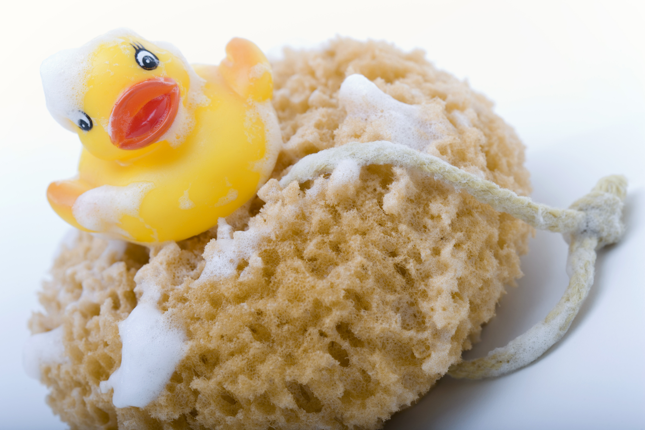 How to Disinfect a Loofah Our Everyday Life