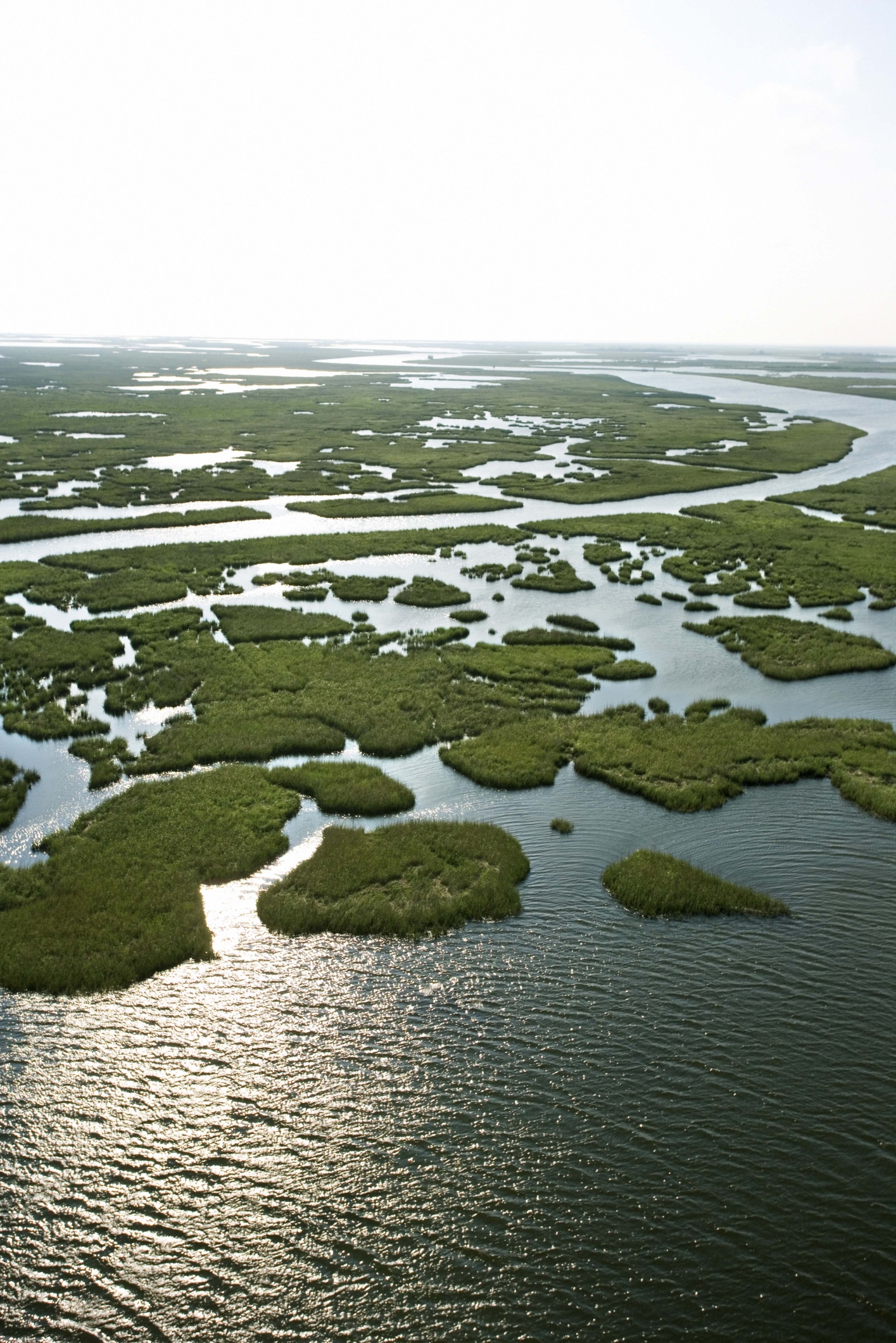 the-annual-salary-of-a-louisiana-game-warden