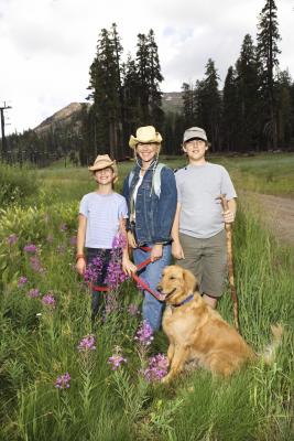 is corsican mint toxic to dogs