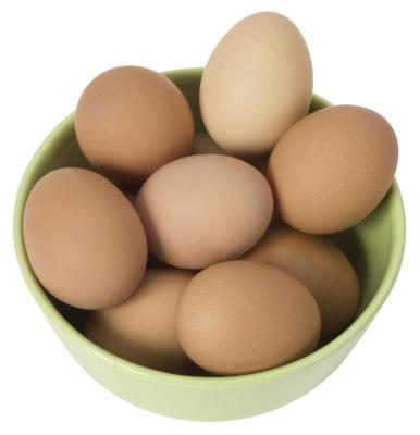 Training Hens Where to Lay | Animals - mom.me