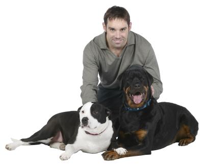 how to introduce two dogs how to introduce 2 dogs care the daily puppy how to introduce two dogs how to introduce 2 dogs care the daily puppy