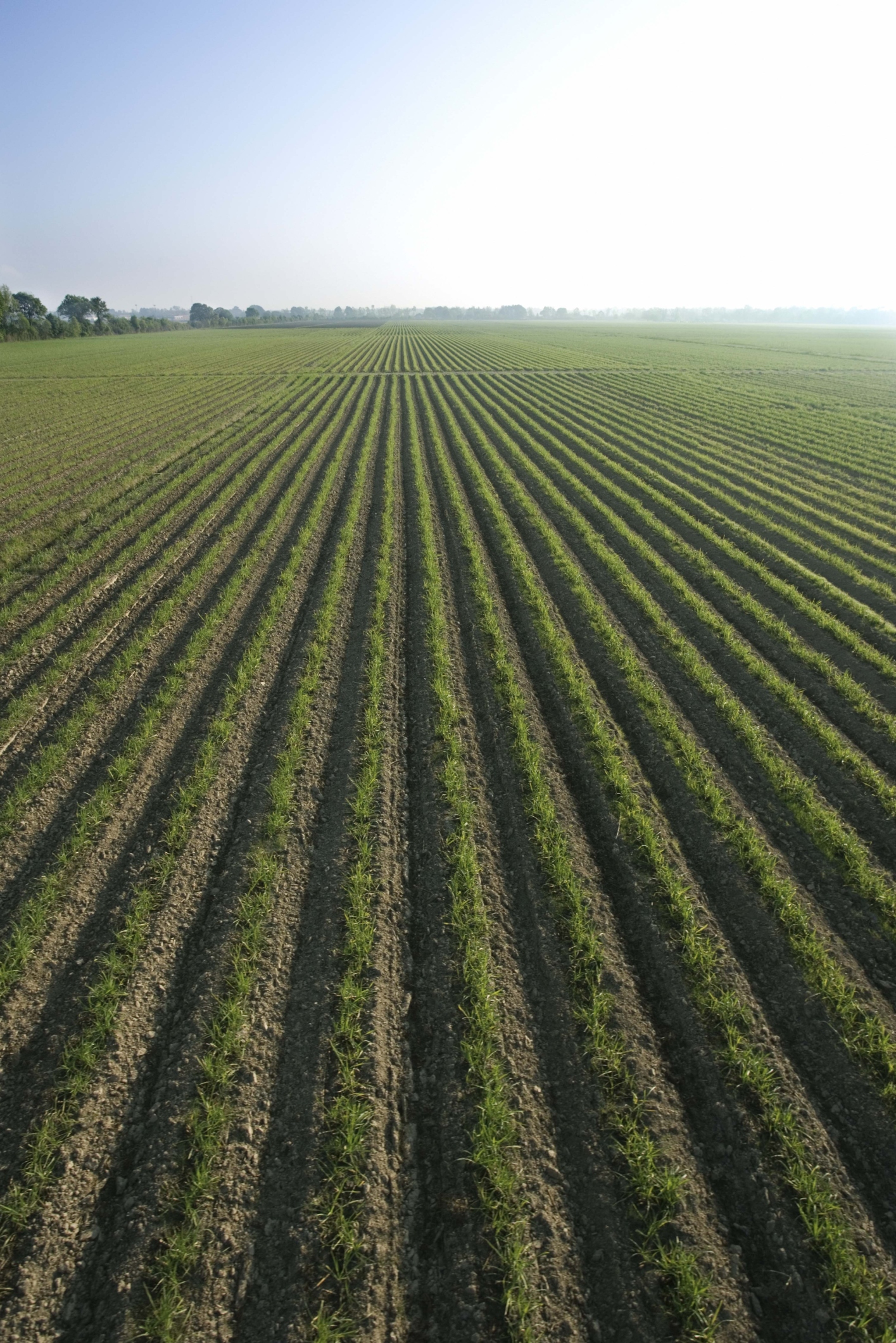 how-to-become-an-agricultural-farm-machinery-appraiser