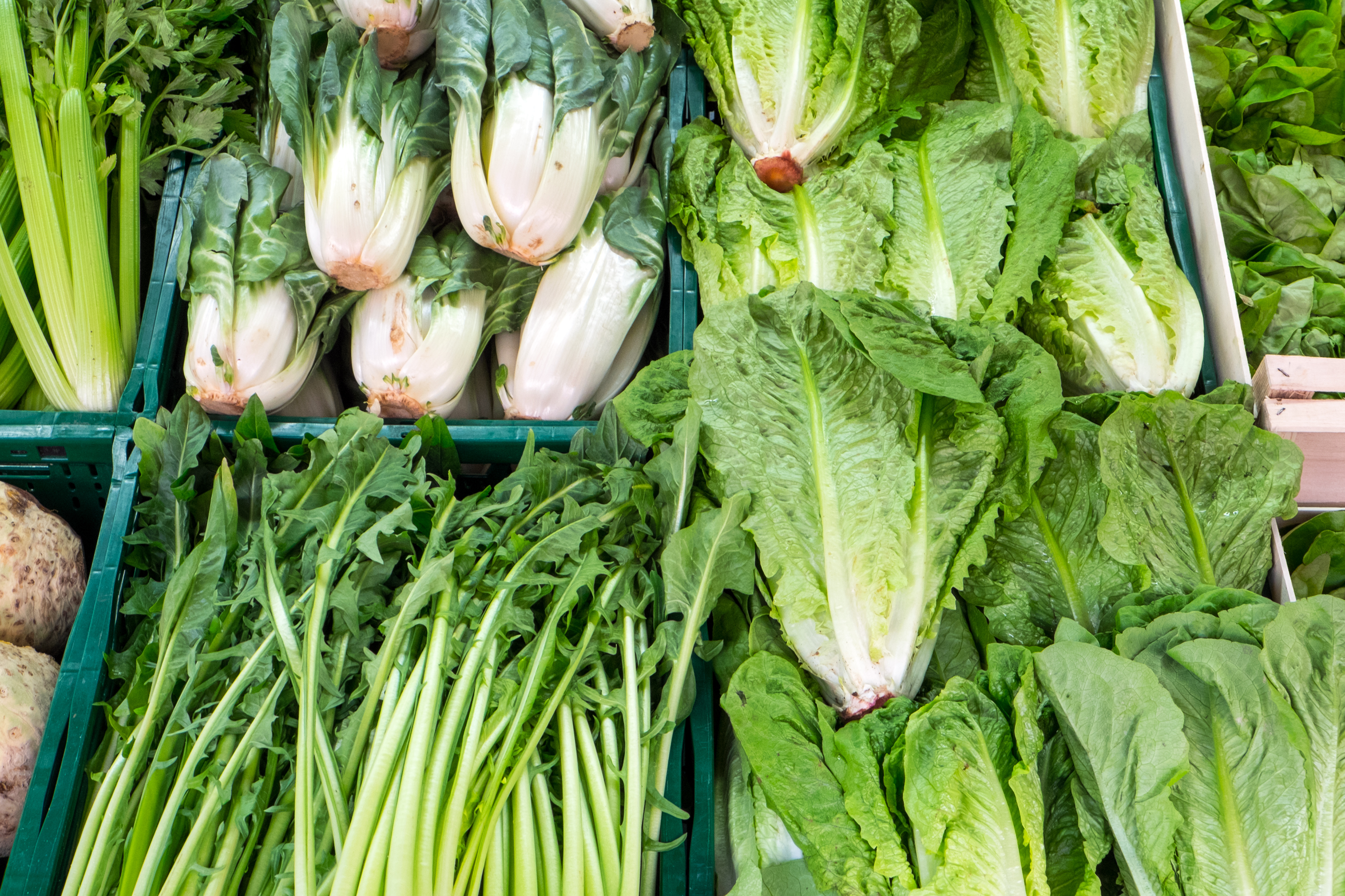 What Vitamins Are in Lettuce? Healthfully