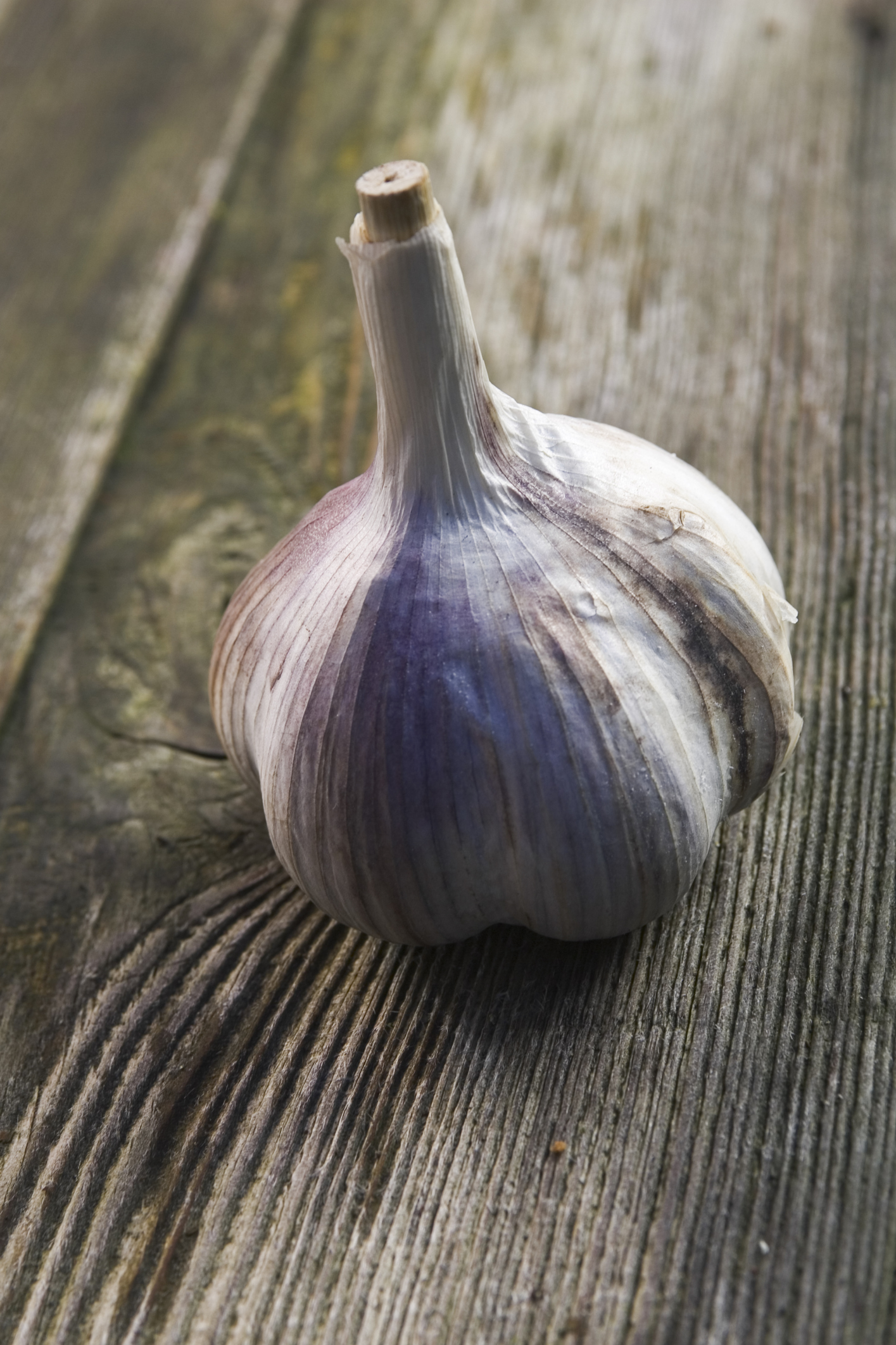 Raw Garlic Allergies Healthfully