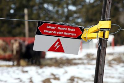 invisible fence flashing green light
