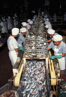 Worker Safety in Food Processing Plants | Chron.com diagram of food safety 